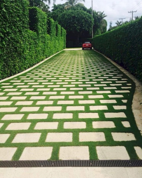 Biophilic Design and \